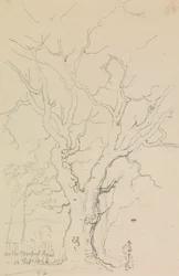 På Newport Road, 12 februari 1826