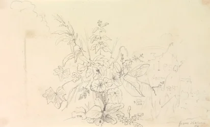 Skiss över växter och en milstolpe från naturen, 3 juni 1826