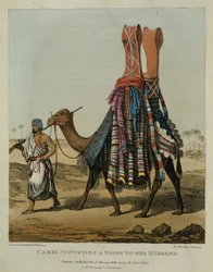 Kamel som transporterar en brud till sin make, graverad av Denis Dighton (1792-1827), plansch 16 från "A Narrative of Travels in Northern Africa", pub. 1821