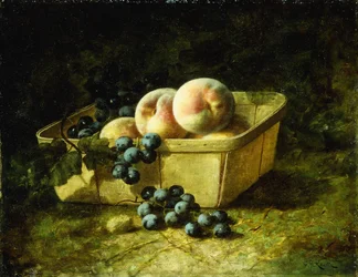 Persikor och vindruvor,