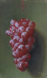 Stilleben med vindruvor.