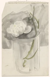 Vit blomma i ett glas