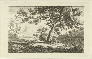 Vilande herde Landskap (a-f) (serietitel)