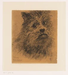 Porträttstudie av hunden Jimmy