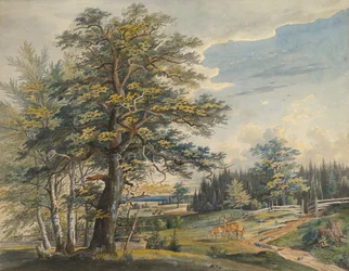 Skogbevuxen landskap med hjort, 1800-1877.