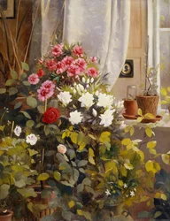 Azaleor, pelargoner, rosor och andra krukväxter vid ett fönster