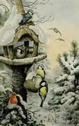 Vinterfågelbord med blåmesar, talgoxar, gråsparvar och en rödhake