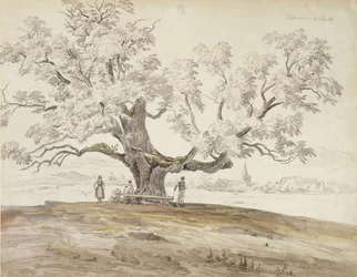 Utsikt över Wolfershausen bei Meiningen med ett gammalt ekträd, 1844 (grafit & wc på papper)