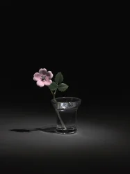 Wild Rose, sent 1800-tal - början av 1900-talet