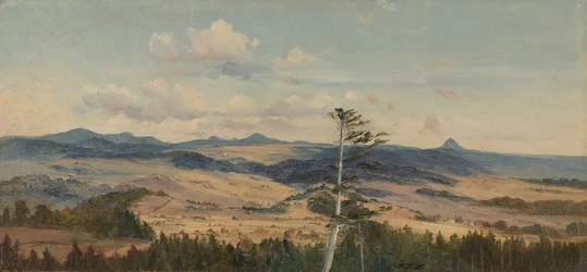 Eifel landskap