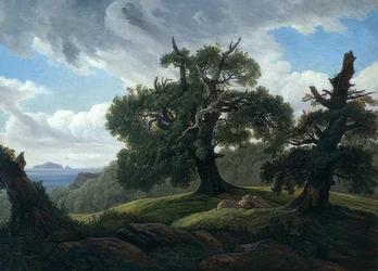 Ekar vid havet. 1835