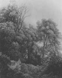 Pillnitz Auf der Elbinsel Carl Gustav Carus 1840