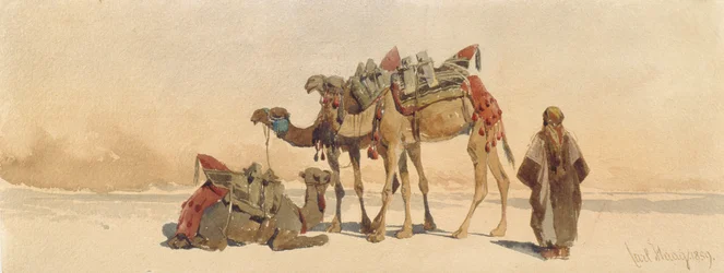 Vila med tre kameler i öknen, 1859