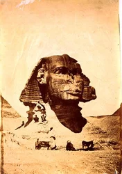 Sfinxen i Giza (fotografi)