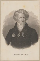 Georges Cuvier (1769 Montbéliard - 1832 Paris) - fransk zoolog, paleontologins grundare