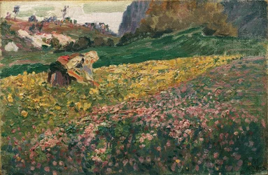 Flicka i blomsterängen