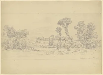 Trädstudie från Villeneuve-området nära Avignon