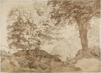 Vila i ekskogen