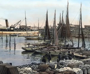 Hamn, Charente-Maritime, Frankrike (foto)