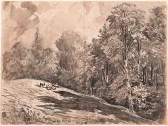 En äng med en herde och getter i kanten av en skog