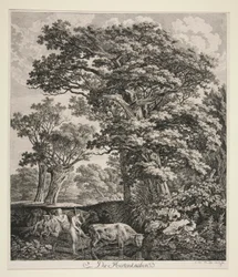 Herdepojkarna