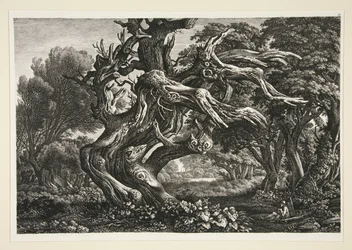 Landskap
