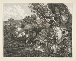 Landskap