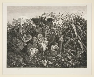 Landskap