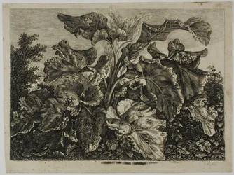 Grönsaksblad