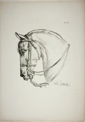 Detalj av hästhuvud, förstorat till tredubbel storlek, Norman Royal Guard, nr 2