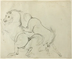 Two Horses Cavorting (recto); Man på en sparkande häst (verso)