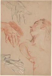 Studieblad