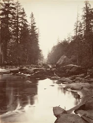 Merced River, Yosemite, ca. 1872, tryckt ca. 1876.