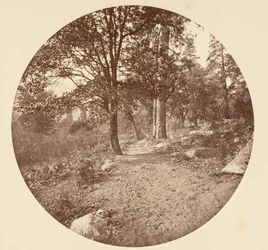 I Yosemite Valley, ca. 1878.