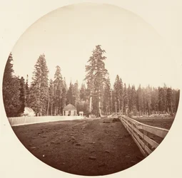 Vaktposterna. C. Grove, ca. 1878.