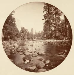 [Yosemite nationalpark, Kalifornien], ca 1878.