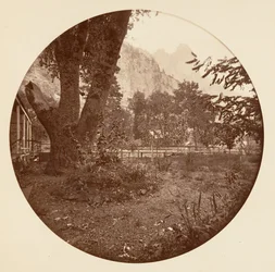 [Yosemite nationalpark, Kalifornien], ca 1878.