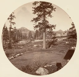 [Yosemite nationalpark, Kalifornien], ca 1878.
