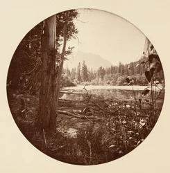 [Yosemite nationalpark, Kalifornien], ca 1878.