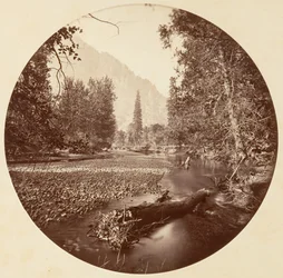 Yosemite nationalpark, Kalifornien, cirka 1878.