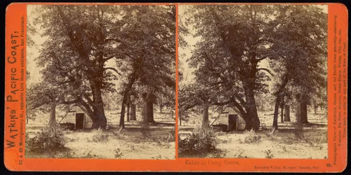 Stuga i Camp Grove, Yosemite Valley, Mariposa County, Ca