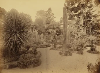 [Monterey, Kalifornien. Arizona Garden, Hotel Del Monte].
