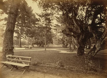 [Monterey, Kalifornien. Hotel Del Monte, Lawn View].