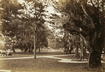 [Park nära Hotel del Monte, Monterey?]