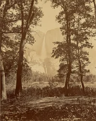 [Yosemitefallen sedda underifrån]