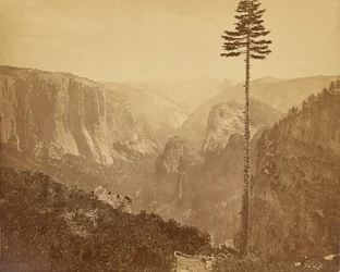 Yosemitedalen från Mariposaleden
