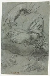 Studies of Hands recto, Sketch of a Child