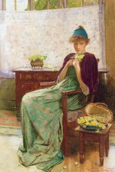 Primula