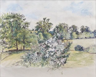 Augusti från vårt fönster, 2007 (pastell & wc på papper)