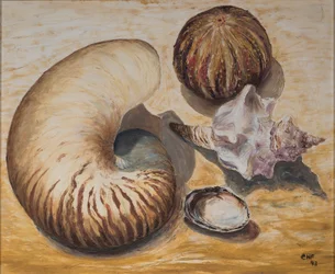 Snäckskal, 1993 (olja på papper)